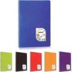 Çınar Colormaxi A4 Plastik Kapak 40 Yaprak Kareli 12'li Spiralli Defter