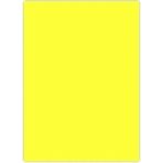Çınar Fosforlu Fon Kartonu 50X70 Sarı Rulo Şeklinde - 2 Adet