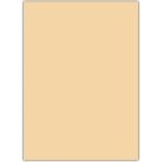Çınar Yapışkanlı Eva 50X70 Ten Rengi Rulo Şeklinde - 4 Adet