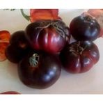 ÇınarTohum 20 Adet Black Krim Domates Tohumu - 1 Paket
