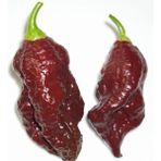 ÇınarTohum Kahverengi Bhut Jolokia Biber Tohumu - 1 Paket