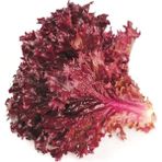 ÇınarTohum Kırmızı Kıvırcık Marul Tohumu / 20 Adet Tohum - 1 Paket