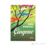 ÇİNGENE - AHMET MITHAT EFENDI