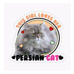 Cins Kedi İran Kedisi Araba Oto Sticker Etiket Renkli V1