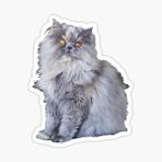 Cins Kedi İran Kedisi Araba Oto Sticker Etiket Renkli V4