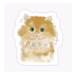 Cins Kedi İran Kedisi Araba Oto Sticker Etiket Renkli V7