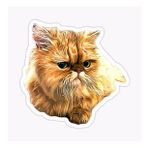 Cins Kedi İran Kedisi Araba Oto Sticker Etiket Renkli Z1