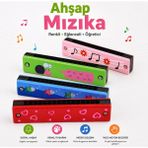 Circle Toys Ahşap Mızıka 1 Adet – Renkli Eğitici Çocuk Müzik Oyuncağı - Çok Renkli