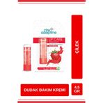 Cire Aseptin Çilekli Dudak Bakım Kremi 4,5 Gr