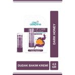 Cire Aseptin Dark Honey Renkli Dudak Bakım Kremi 4,5 Gr