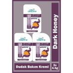 Cire Aseptine Lip Care Dark Honey Renkli Dudak Bakım Kremi 4,5 Gr 3 Adet