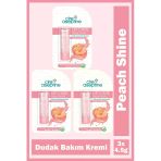 Cire Aseptine Lip Care Peach Shine Renkli Dudak Bakım Kremi 4,5 Gr 3 Adet