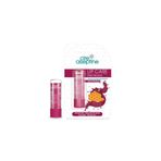 Cire Aseptine Lip Care Red Honey Renkli Dudak Bakım Kremi 4,5 G