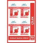 Cire Aseptine Lip Care Strawberry (Çilek) Renkli Dudak Nemlendirici 4,5 G x 4 Adet