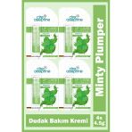 Cire Aseptine Mentol Dudak Bakım Kremi 4,5 Gr 4 Adet