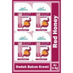 Cire Aseptine Renkli Nemlendirici Dudak Bakım Kremi 4,5 gr 4 Adet Hyaluronik Asit ve Ceramide İçerir