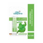 Cire Aspetine Minty Plumper 4.5 gr Dudak Balmı