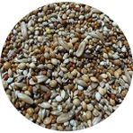 Çirpan Kuş Dünyası Yavru ve Hasta Kuş Yemi 500 gr (ÖZEL VAKUMLU AMBALAJ)