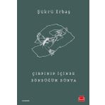 Çırpınıp İçinde Döndüğüm Dünya - Şükrü Erbaş