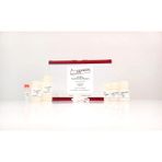 Cis-Dna Food Dna Kit - 250 - test
