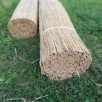 Çit Hasır Kamış Çit 1M X 3M