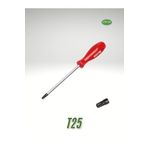 ÇİTAŞ TORKS T25 TORNAVİDA 6 KÖŞE YILDIZ ALYAN (T25 X 100MM)