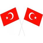Çıtı Pıtı Store Sopalı Türk Bayrağı 100 Lü