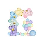 Çıtıpıtıstore Makoron 100 Lü Doğum Günü Balon Seti