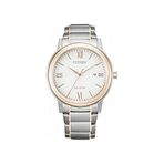Citizen Erkek analog Eco-Drive saat paslanmaz çelik bileklik, Mehrfarbig/Weiß, tek beden, Bileklik
