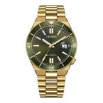 Citizen Gts Mechanical Nj0232-53x Altın Rengi Yeşil Çelik Erkek Kol Saati