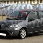 Citroen C3 Krom Cam Çıtası 4 Prç 2002-2009