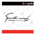 Citroen Cactus Sports Mind Oto Sticker