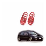 Citroen Saxo spor yay helezon 45mm 1996-2003 Coil-ex