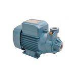 City Pumps P197 IP-500 Sürtme Fanlı Preferikal Su Pompası