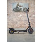 Citycoco E9 MX350 350 W Siyah Katlanabilir Elektrikli Scooter