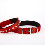 Çivi Desenli Köpek Tasması 2,5*60 Cm Kırmızı