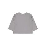 Civil Basic Erkek Çocuk Sweatshirt Gri 2-3 Yaş, 2-3 Yaş, 19785V96525W1-AGR-2, Açık Gri, erkek-çocuk