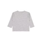 Civil Boys Timsah Etiketli Sweatshirt Gri, 3-4 Yaş, 19330J29325W1-KRJ-3, Kar Melanj, erkek-çocuk