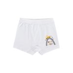 Civil Car 9-18 Ay Bebek Erkek Boxer, 12-18 AY, D2334559926S1, Standart, erkek-bebek
