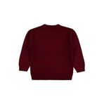 Civil Erkek Çocuk Ayıcık Nakışlı Kazak, 2-3 Yaş, 45U53523525W1-BRD-2, Bordo, Erkek Çocuklar