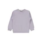 Civil Girls Kız Çocuk Düz Sweatshirt, 2-3 Yaş, 19767211625W1, Lila, kız-çocuk