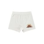 Civil Mini Dino 9 Bebek Erkek Boxer, 18 Ay, D2334559826S1, Standart, erkek-bebek