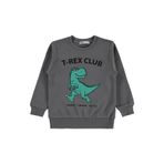 Civil Trex Club Baskılı Erkek Çocuk Sweatshirt, 2-3 Yaş, V5D94516625W1, Gri, erkek-çocuk
