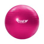 Ciwaa Cwa-2045 Pilates Topu 65 Cm Pembe Pompa Hediyeli
