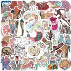 Çizgi film organ anatomisi çıkartması, 50 adet, anatomi çıkartması, kaykay, grafiti, çıkartma, motosiklet, bisiklet, snowboard, bagaj, dizüstü bilgisayar, araba, çanta, çocuklar ve gençler için, su