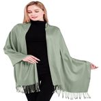 CJ Apparel Bayan Yüksek Kaliteli Tek Renkli Tasarım Pashmina Şal, yeşil (lichtgrün), Tek Beden