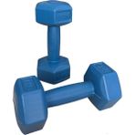 CK Spor Ckspor 2'li Dambıl Seti 1 kg x 2 Adet Plastik Dambıl Ağırlık Seti Köşeli - 2 x 1 kg - Mavi