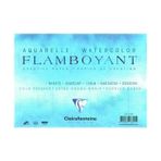 Clairefontaine 5672878 Flamboyant Extra Rough 250 gr 56x76 cm Suluboya Kağıdı