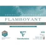 Clairefontaine Flamboyant Extra Rough 250 gr 31x41 cm 10 Yaprak Sulu Boya Blok