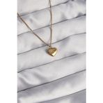 Clariss 316L Çelik Gold Renk Kalp Model Love Kolye
